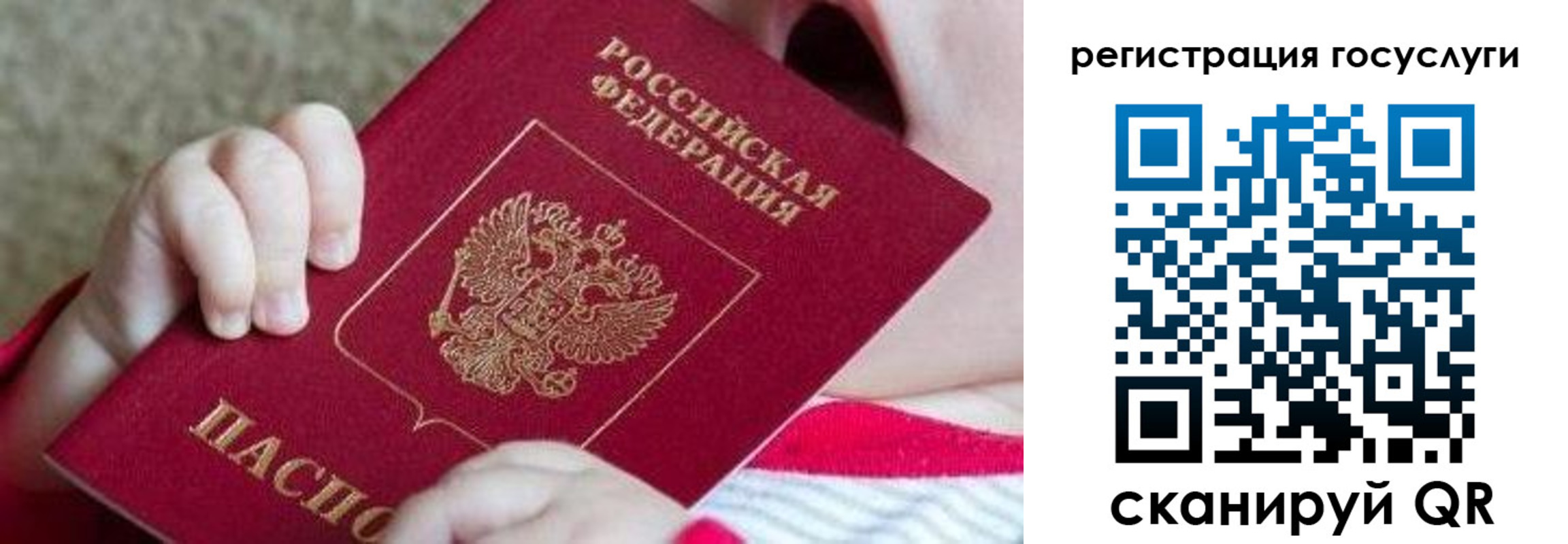 регистрация для школы в Воронежской области